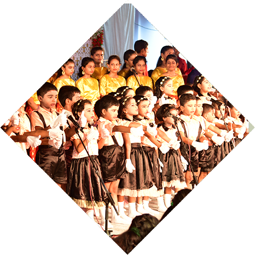 Primary School in Pondicherry - Amalorpavam Higher Secondary School